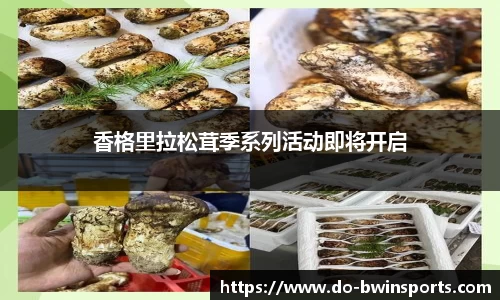 BWIN必赢官方网站